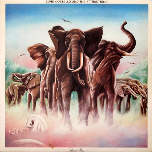 Постер Elvis Costello - Discography Elvis Costello - Discography