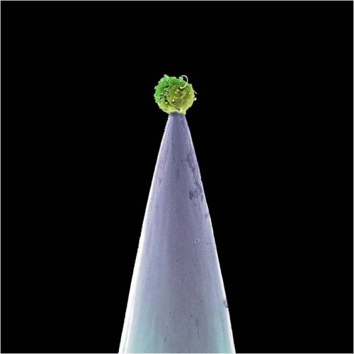 Постер Peter Gabriel - Discography Peter Gabriel - Discography
