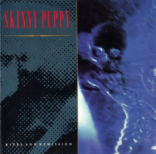 Постер Skinny Puppy - Discography Skinny Puppy - Discography