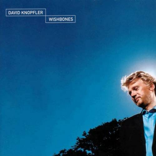 Постер David Knopfler David Knopfler