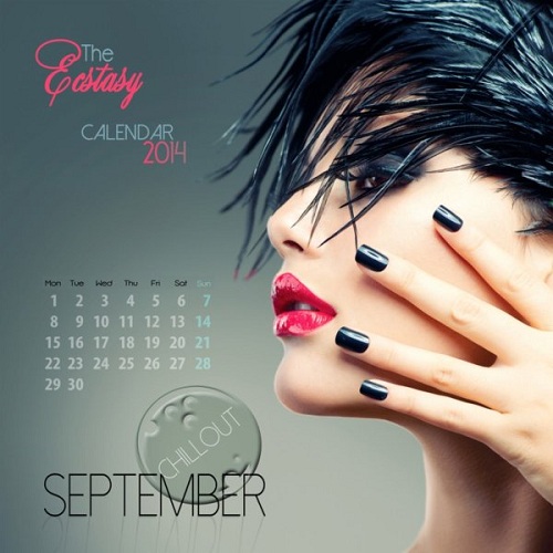 Постер VA - The Ecstasy Calendar 2014 VA - The Ecstasy Calendar 2014