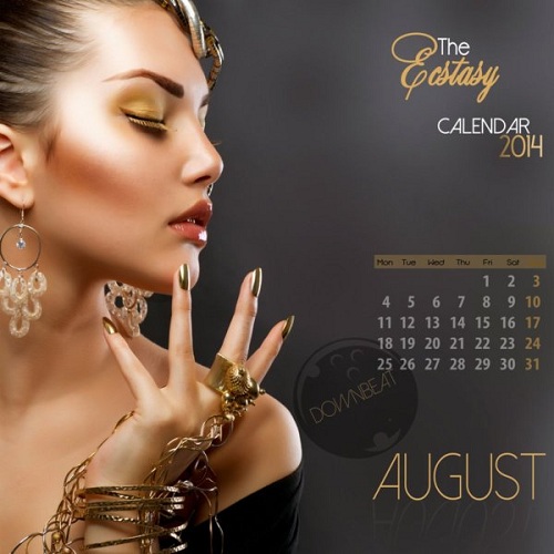 Постер VA - The Ecstasy Calendar 2014 VA - The Ecstasy Calendar 2014