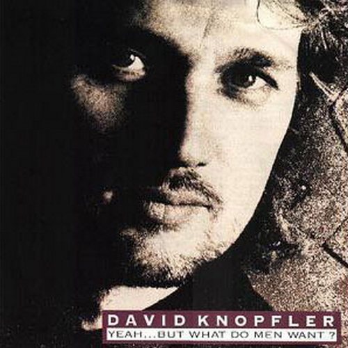 Постер David Knopfler David Knopfler