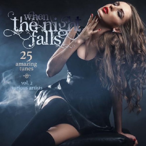 Постер VA - When the Night Falls VA - When the Night Falls