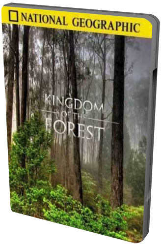Постер National Geographic. Лесное царство / Kingdom of the Forest National Geographic. Лесное царство / Kingdom of the Forest