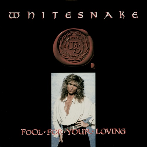 Постер Whitesnake Discography Whitesnake Discography