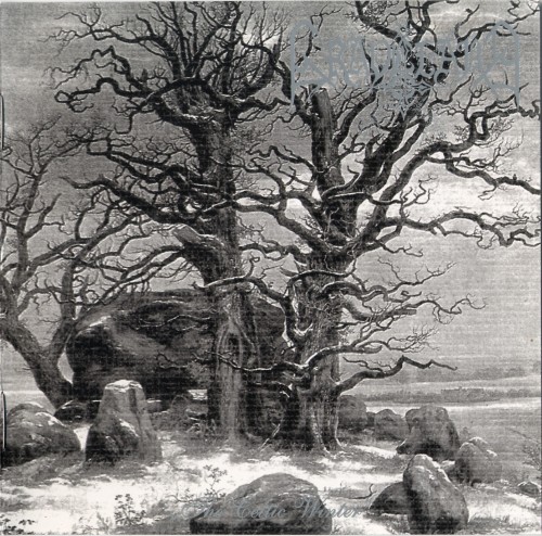 Постер Graveland - Discography Graveland - Discography