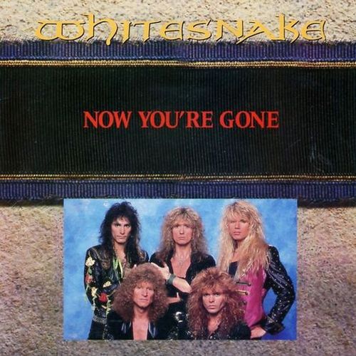 Постер Whitesnake Discography Whitesnake Discography