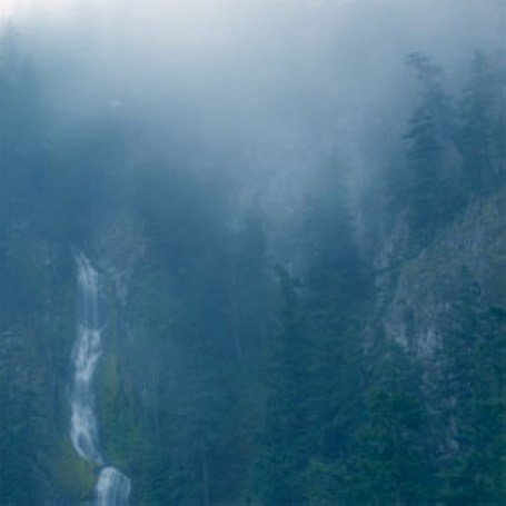 Постер Wolves in the Throne Room - Discography Wolves in the Throne Room - Discography