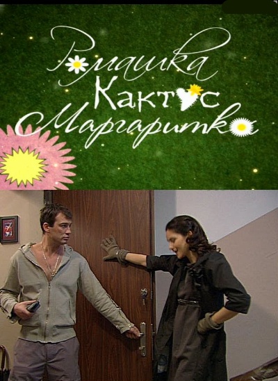 Постер Ромашка, кактус, маргаритка Ромашка, кактус, маргаритка