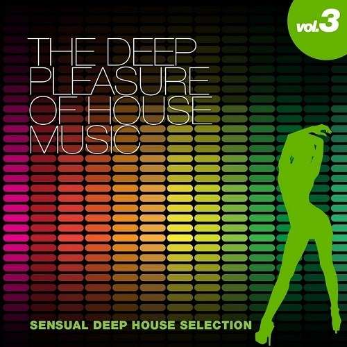 Постер VA - The Deep Pleasure Of House Music Vol 2-3 VA - The Deep Pleasure Of House Music Vol 2-3