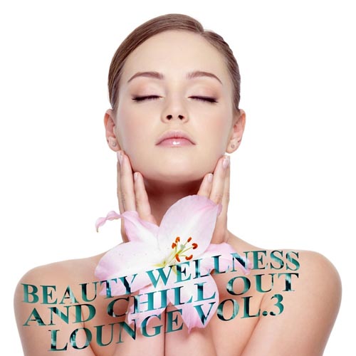 Постер VA - Beauty Wellness Chill Out Lounge Vol.1-3 VA - Beauty Wellness Chill Out Lounge Vol.1-3
