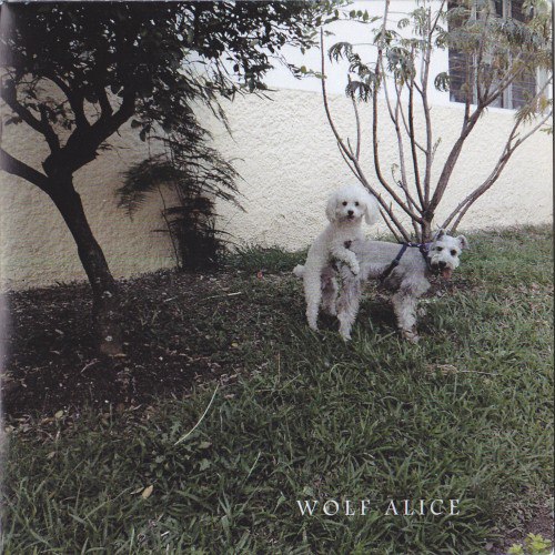 Постер Wolf Alice - Discography Wolf Alice - Discography