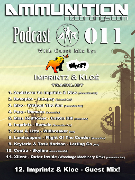 Постер Ammunition Recordings Podcast 011 Ammunition Recordings Podcast 011