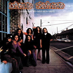 Постер Lynyrd Skynyrd - Дискография Lynyrd Skynyrd - Дискография
