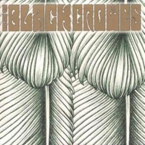 Постер The Black Crowes Discography The Black Crowes Discography