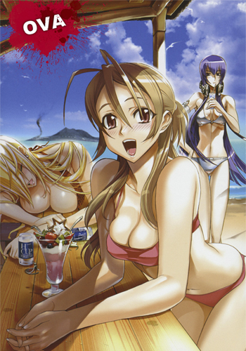 Постер Школа Мертвецов / High School of the Dead Школа Мертвецов / High School of the Dead