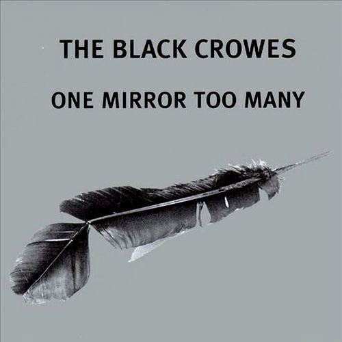 Постер The Black Crowes Discography The Black Crowes Discography