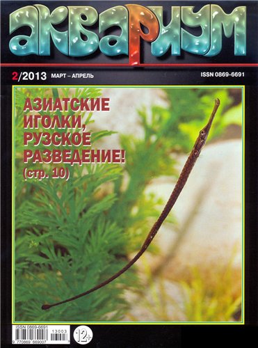 Постер Аквариум Аквариум