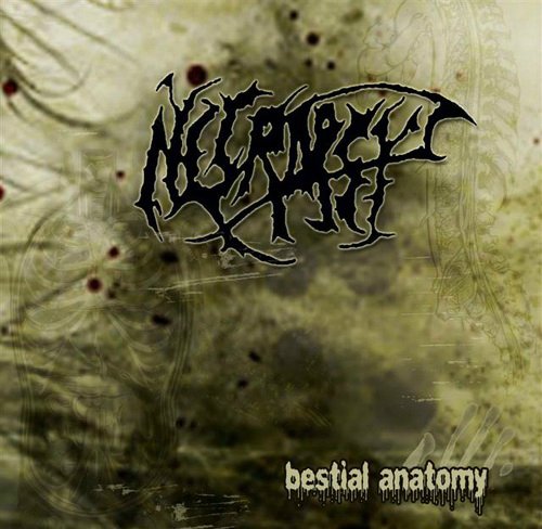 Постер Necropsy - Discography Necropsy - Discography