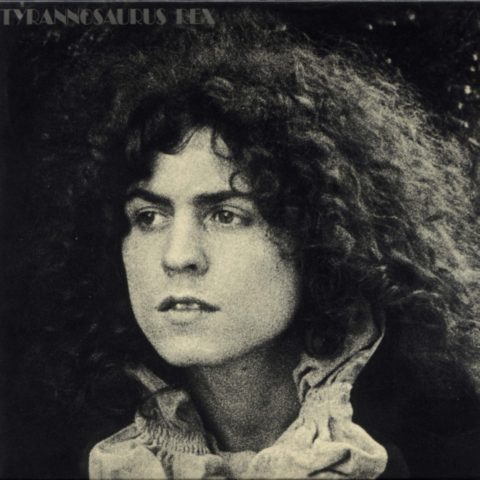 Постер T-REX Discography T-REX Discography