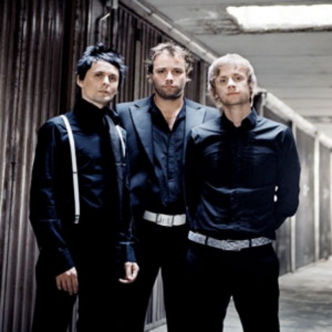 Постер Muse Discography Muse Discography
