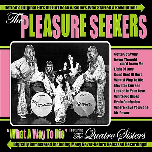Постер Suzi Quatro - Discography Suzi Quatro - Discography