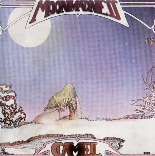 Постер Camel - Discography Camel - Discography