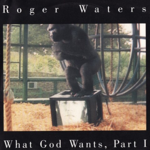 Постер Roger Waters Discography Roger Waters Discography