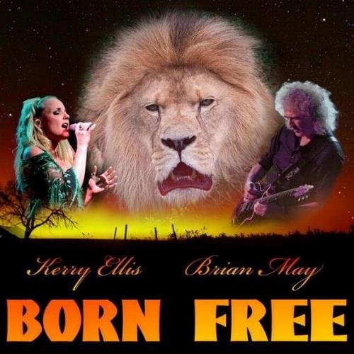Постер Brian May Discography Brian May Discography