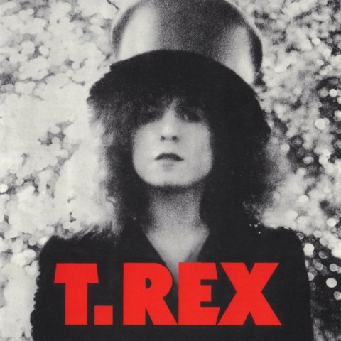 Постер T-REX Discography T-REX Discography