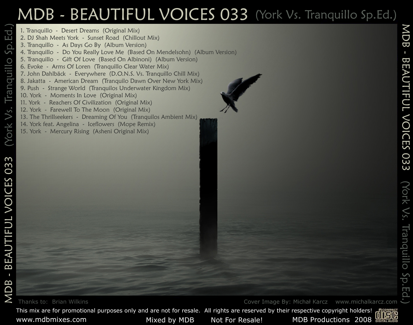 Постер BEAUTIFUL VOICES 033 BEAUTIFUL VOICES 033