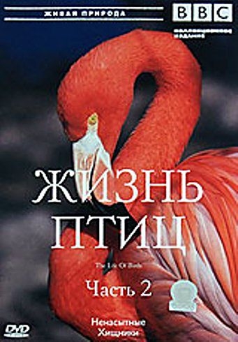 Постер BBC: Жизнь птиц. 4 диска с 4 / BBC: The Life of Birds BBC: Жизнь птиц. 4 диска с 4 / BBC: The Life of Birds
