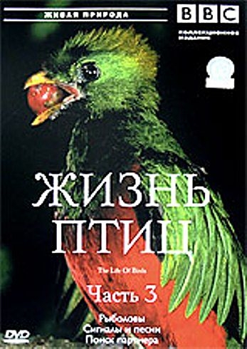 Постер BBC: Жизнь птиц. 4 диска с 4 / BBC: The Life of Birds BBC: Жизнь птиц. 4 диска с 4 / BBC: The Life of Birds