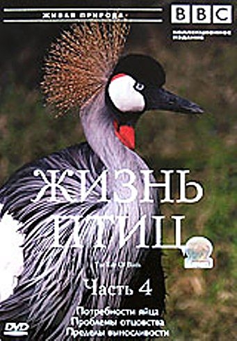 Постер BBC: Жизнь птиц. 4 диска с 4 / BBC: The Life of Birds BBC: Жизнь птиц. 4 диска с 4 / BBC: The Life of Birds