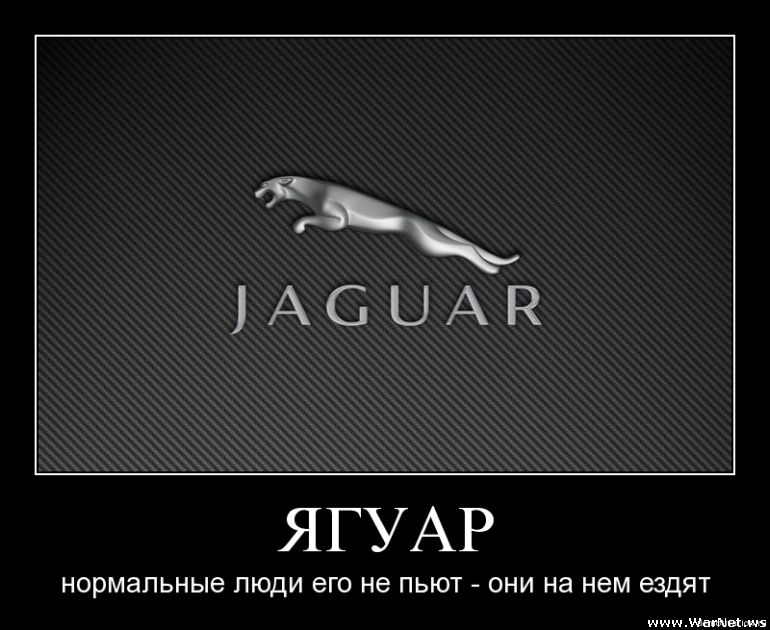 Постер Демотиваторы Демотиваторы