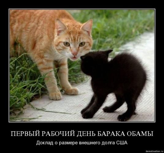 Постер Пазитивный котовторник Пазитивный котовторник