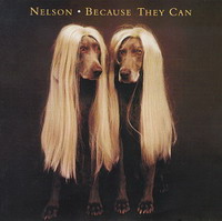 Постер Nelson - Дискография Nelson - Дискография