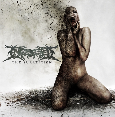 Постер Ingested - Дискография Ingested - Дискография