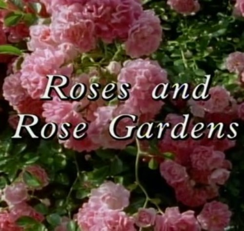Постер Сады мира с Одри Хепберн / Gardens of the World with Audrey Hepburn Сады мира с Одри Хепберн / Gardens of the World with Audrey Hepburn