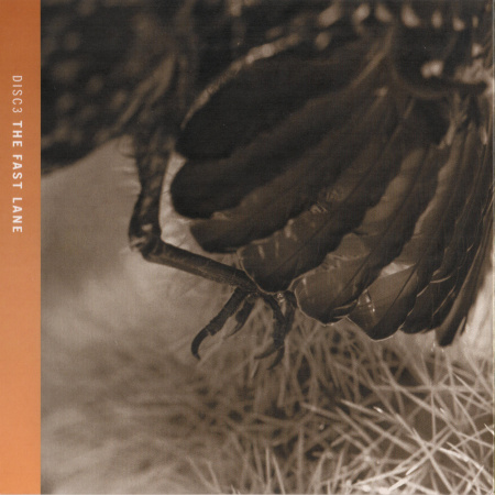 Постер Eagles - Selected Works 1972-1999 Eagles - Selected Works 1972-1999